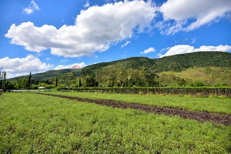 Terreno agrícola en venta san vicente de t.t."