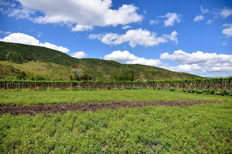 Terreno agrícola en venta san vicente de t.t."
