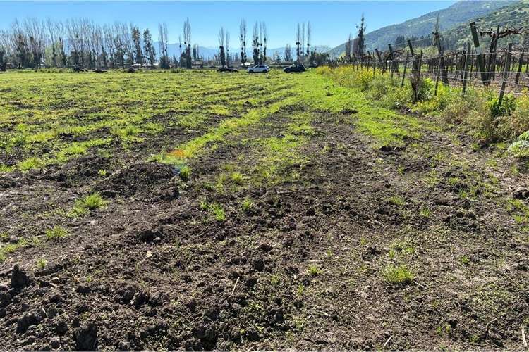 Terreno agrícola en venta san vicente de t.t."