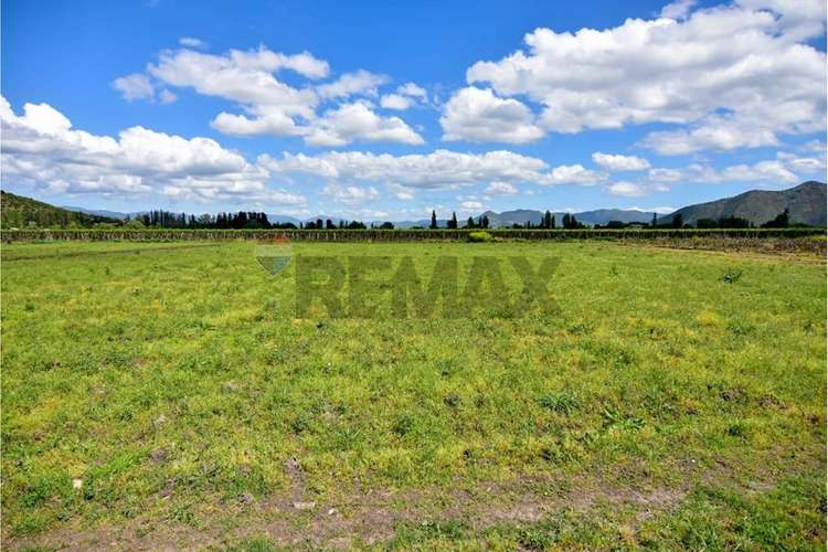 Terreno agrícola en venta san vicente de t.t."