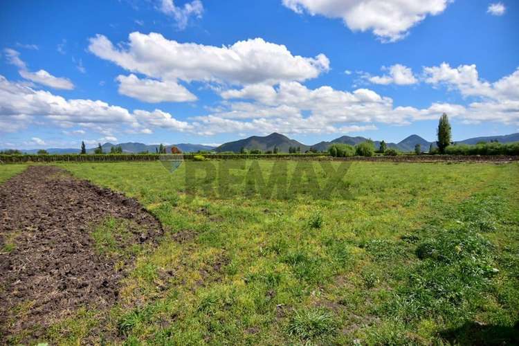 Terreno agrícola en venta san vicente de t.t."