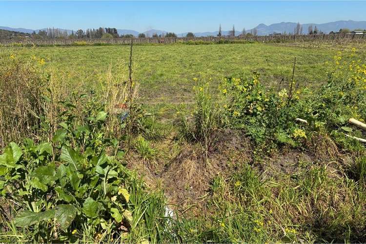 Terreno agrícola en venta san vicente de t.t."