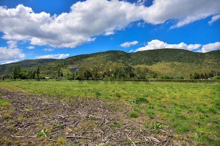 Terreno agrícola en venta san vicente de t.t."