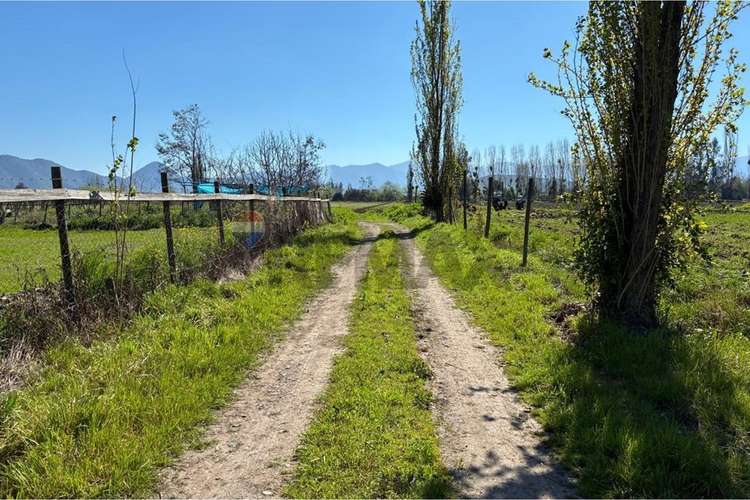 Terreno agrícola en venta san vicente de t.t."