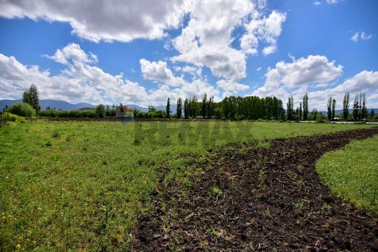 Terreno agrícola en venta san vicente de t.t."