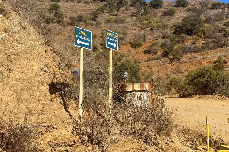 Terreno 10.000mt2 (2 parcelas) cond.quillota - Imagen 20