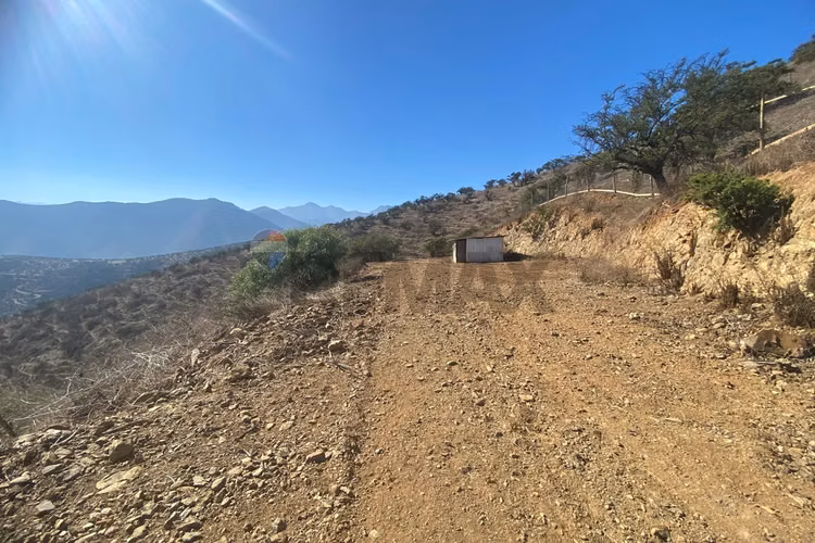 Terreno 10.000mt2 (2 parcelas) cond.quillota - Imagen 8