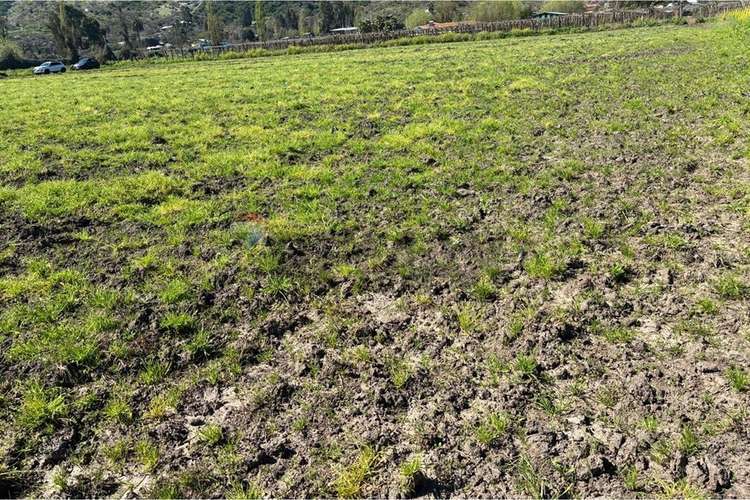"terreno agrícola en venta san vicente t.t."
