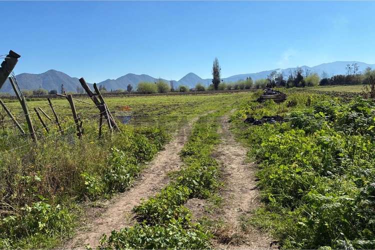 "terreno agrícola en venta san vicente t.t."