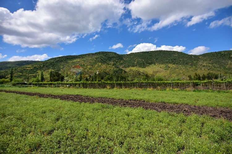 "terreno agrícola en venta san vicente t.t."