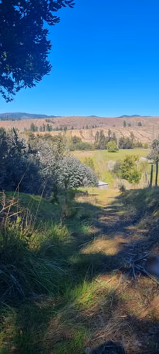 Parcelas de 5.000 m2 en Sector Nininco, Angol, La
