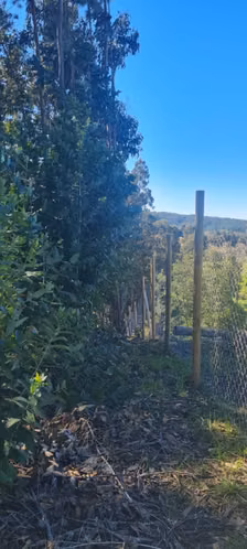 Parcelas de 5.000 m2 en Sector Nininco, Angol, La