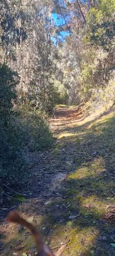 Parcelas de 5.000 m2 en Sector Nininco, Angol, La