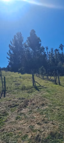 Parcelas de 5.000 m2 en Sector Nininco, Angol, La