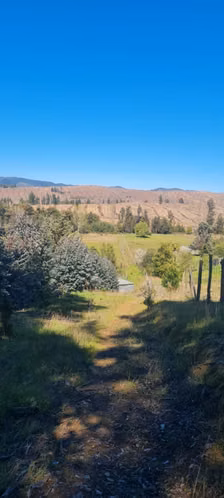 Parcelas de 5.000 m2 en Sector Nininco, Angol, La