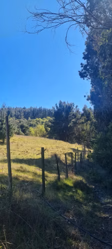 Parcelas de 5.000 m2 en Sector Nininco, Angol, La