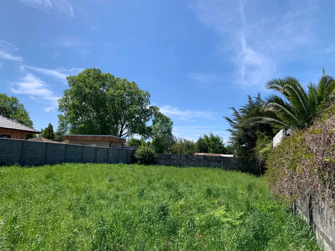 Excelente sitio, sector residencial. Los Angeles (183123) - Imagen 8