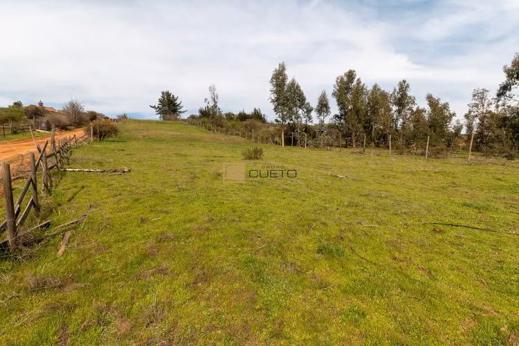 Terreno / Parcela en venta de 5000 m2 en Tabolango Limache