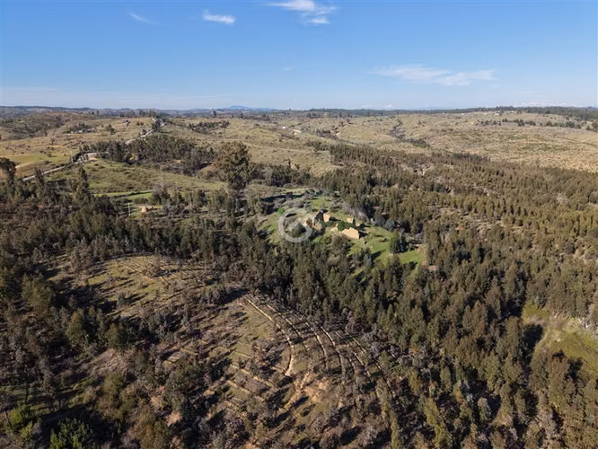 Campo de 36,6 Ha a 13km de Cauquenes. Oportunidad