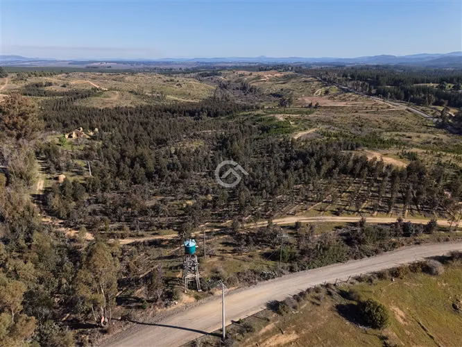 Campo de 36,6 Ha a 13km de Cauquenes. Oportunidad