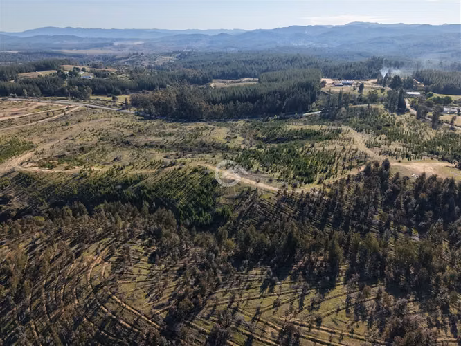 Campo de 36,6 Ha a 13km de Cauquenes. Oportunidad