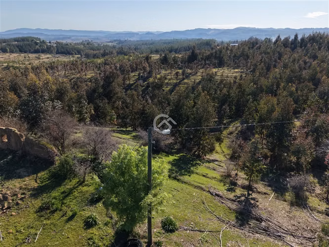Campo de 36,6 Ha a 13km de Cauquenes. Oportunidad