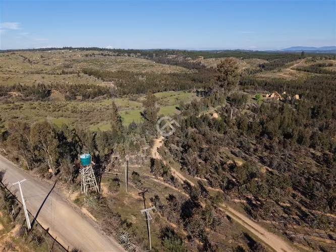 Campo de 36,6 Ha a 13km de Cauquenes. Oportunidad