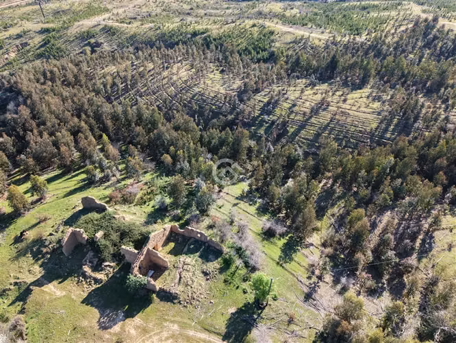Campo de 36,6 Ha a 13km de Cauquenes. Oportunidad