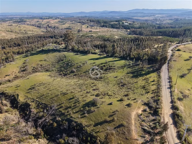 Campo de 36,6 Ha a 13km de Cauquenes. Oportunidad