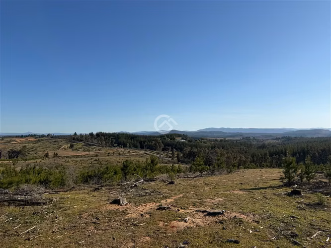 Campo de 36,6 Ha a 13km de Cauquenes. Oportunidad