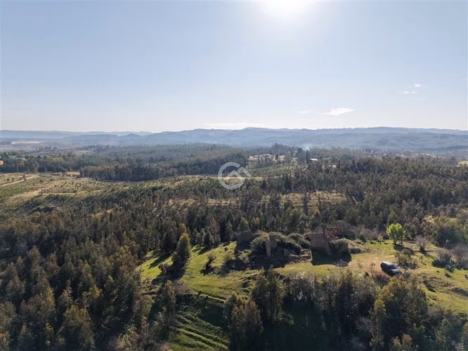 Campo de 36,6 Ha a 13km de Cauquenes. Oportunidad