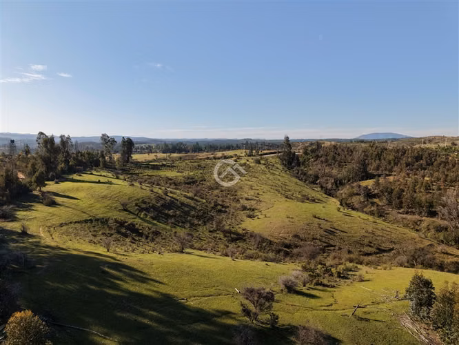 Campo de 36,6 Ha a 13km de Cauquenes. Oportunidad