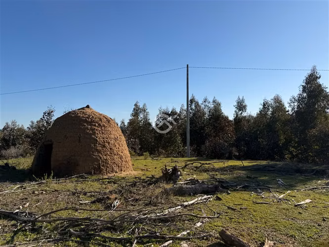 Campo de 36,6 Ha a 13km de Cauquenes. Oportunidad