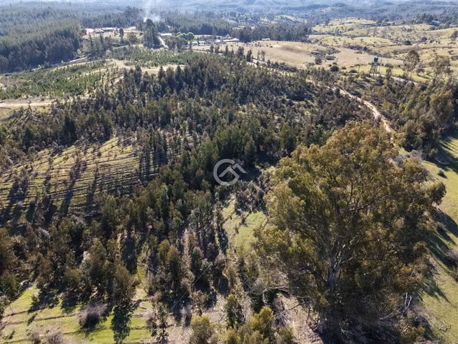 Campo de 36,6 Ha a 13km de Cauquenes. Oportunidad