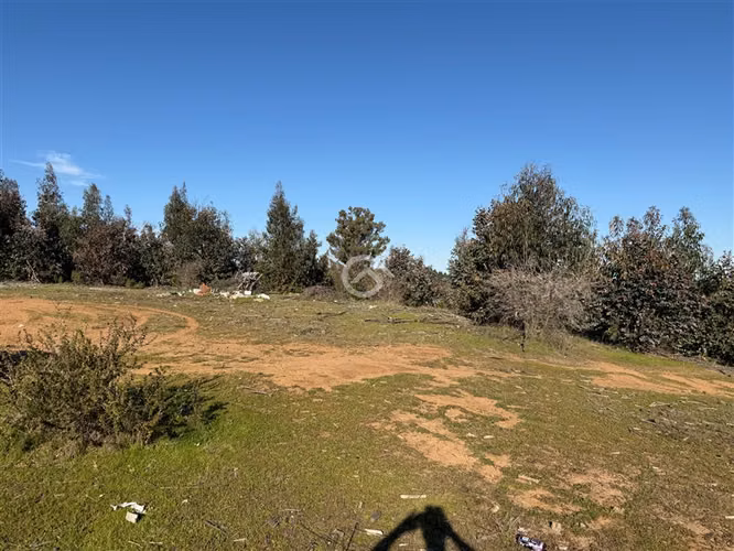 Campo de 36,6 Ha a 13km de Cauquenes. Oportunidad