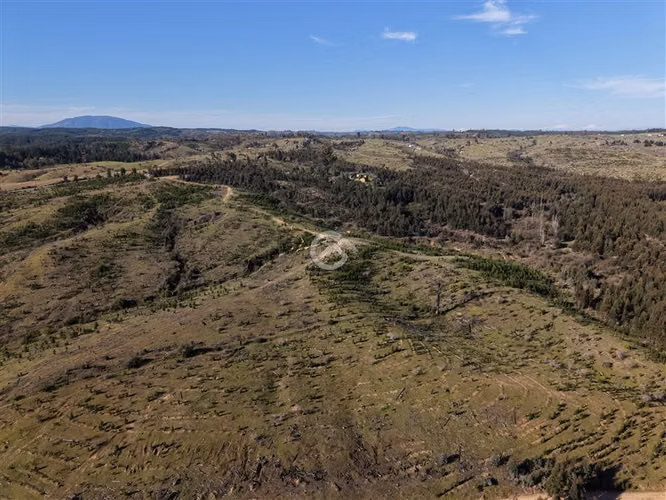 Campo de 36,6 Ha a 13km de Cauquenes. Oportunidad
