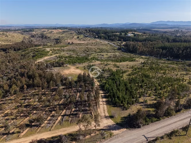 Campo de 36,6 Ha a 13km de Cauquenes. Oportunidad