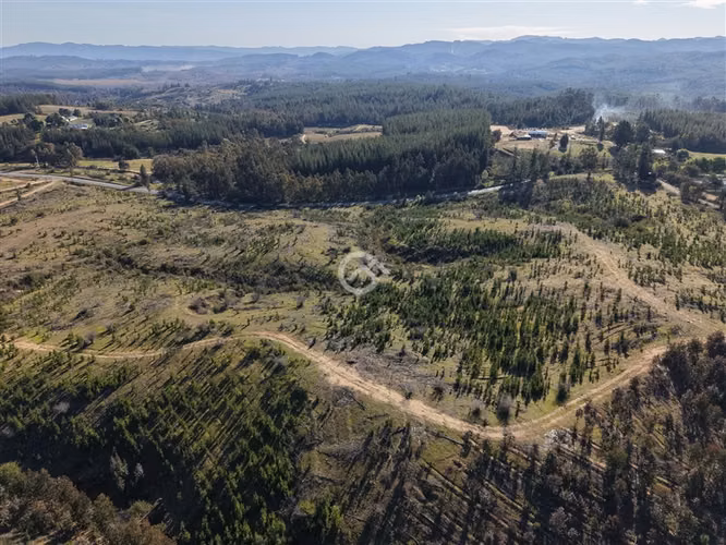 Campo de 36,6 Ha a 13km de Cauquenes. Oportunidad
