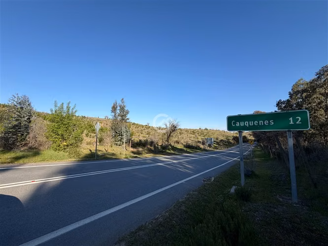 Campo de 36,6 Ha a 13km de Cauquenes. Oportunidad