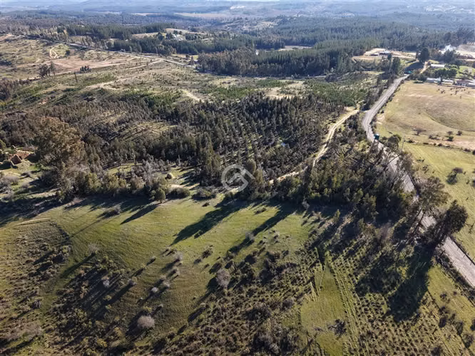 Campo de 36,6 Ha a 13km de Cauquenes. Oportunidad