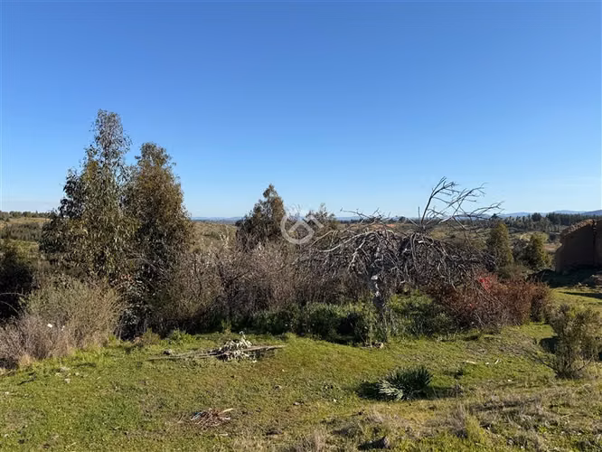 Campo de 36,6 Ha a 13km de Cauquenes. Oportunidad