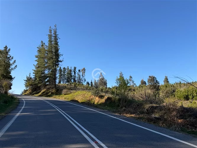 Campo de 36,6 Ha a 13km de Cauquenes. Oportunidad