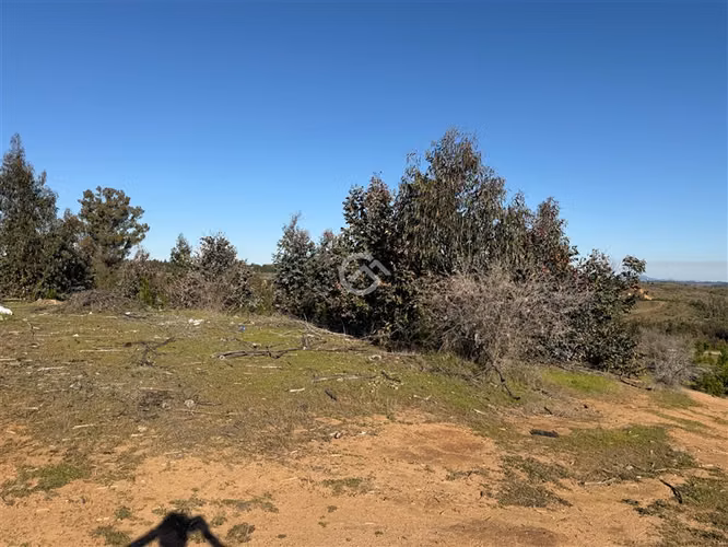 Campo de 36,6 Ha a 13km de Cauquenes. Oportunidad