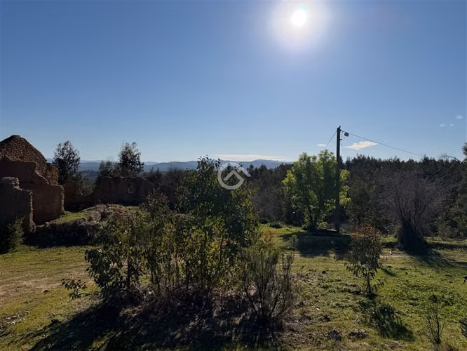 Campo de 36,6 Ha a 13km de Cauquenes. Oportunidad