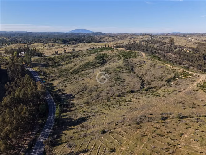 Campo de 36,6 Ha a 13km de Cauquenes. Oportunidad
