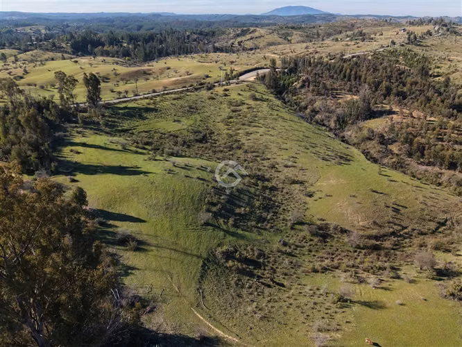 Campo de 36,6 Ha a 13km de Cauquenes. Oportunidad