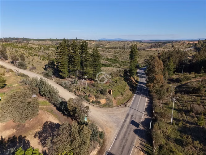Campo de 36,6 Ha a 13km de Cauquenes. Oportunidad