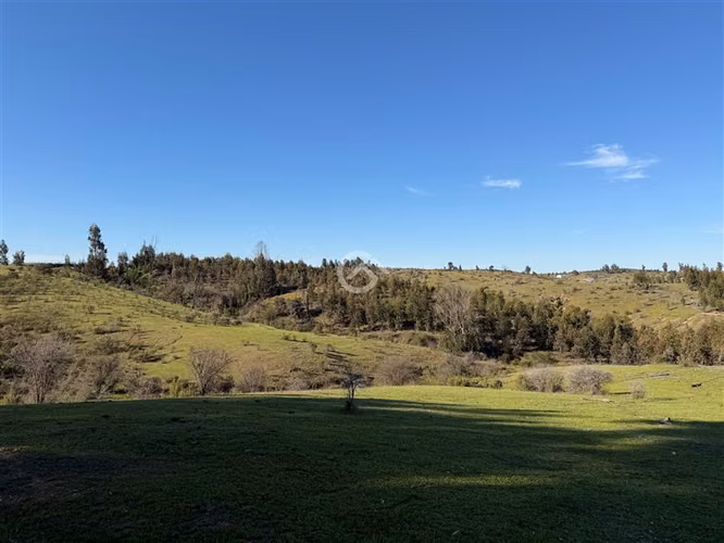 Campo de 36,6 Ha a 13km de Cauquenes. Oportunidad