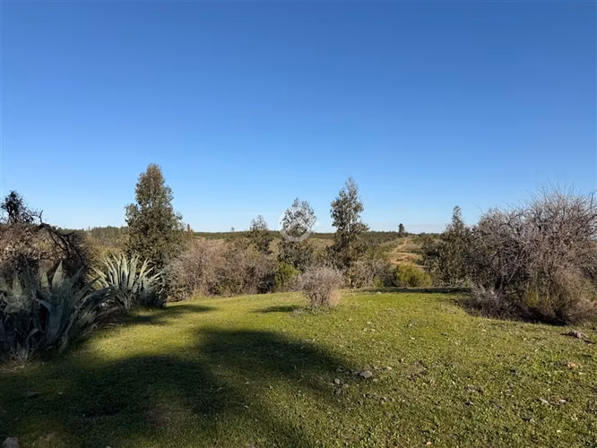 Campo de 36,6 Ha a 13km de Cauquenes. Oportunidad
