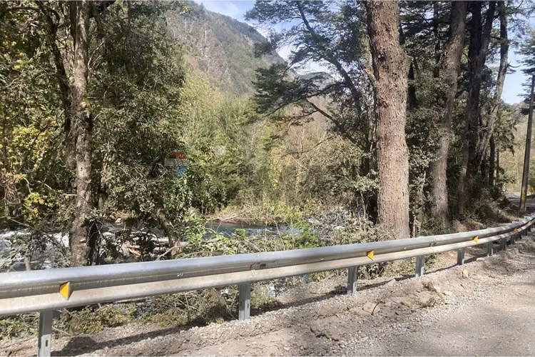 Parcela en venta - bosque palguín - pucón - Imagen 26